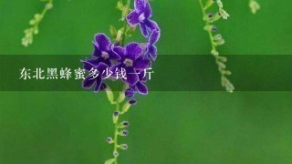 东北黑蜂蜜多少钱1斤 东北黑蜂蜜多少钱1斤