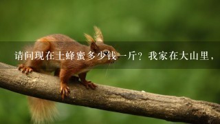 请问现在土蜂蜜多少钱1斤?我家在大山里,有十几窝中华蜂,1年取1次,还有两个月取蜜。 请问现在土蜂蜜多少钱1斤?我家在大山里,有十几窝中华蜂,1年取1次,还有两个月取蜜。