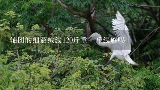 轴团的细貂绒线120斤重1斤线够吗 轴团的细貂绒线120斤重1斤线够吗