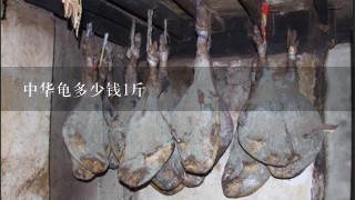 中华龟多少钱1斤 中华龟多少钱1斤