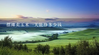 摆摊卖玉米1天能挣多少钱 摆摊卖玉米1天能挣多少钱