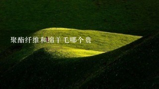 聚酯纤维和绵羊毛哪个贵 聚酯纤维和绵羊毛哪个贵