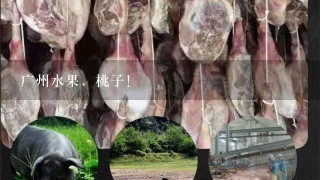 广州水果,桃子! 广州水果,桃子!