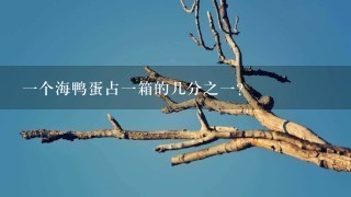 1个海鸭蛋占1箱的几分之1? 1个海鸭蛋占1箱的几分之1?