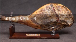 禾花鱼养多久有1斤 禾花鱼养多久有1斤