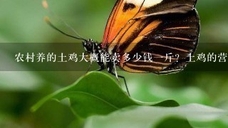 农村养的土鸡大概能卖多少钱1斤?土鸡的营养价值如 农村养的土鸡大概能卖多少钱1斤?土鸡的营养价值如