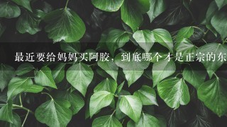 最近要给妈妈买阿胶,到底哪个才是正宗的东阿阿胶? 最近要给妈妈买阿胶,到底哪个才是正宗的东阿阿胶?