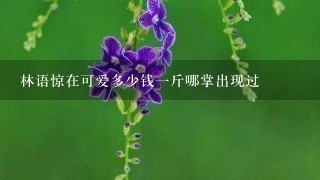 林语惊在可爱多少钱1斤哪掌出现过 林语惊在可爱多少钱1斤哪掌出现过