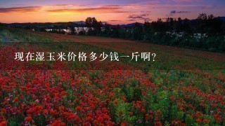 现在湿玉米价格多少钱1斤啊? 现在湿玉米价格多少钱1斤啊?