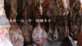 养龙虾1亩1年1般赚多少 养龙虾1亩1年1般赚多少