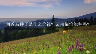 何首乌种子是什么价钱?云南临沧能种吗? 何首乌种子是什么价钱?云南临沧能种吗?