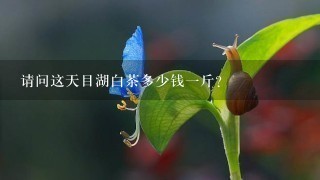 请问这天目湖白茶多少钱1斤? 请问这天目湖白茶多少钱1斤?