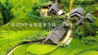 广东2020年金银花多少钱1斤啊? 广东2020年金银花多少钱1斤啊?
