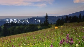 菠萝莓多少钱1斤啊 菠萝莓多少钱1斤啊