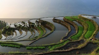 陈皮多少钱1斤? 陈皮多少钱1斤?