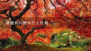 溪鳗和河鳗有什么区别 溪鳗和河鳗有什么区别