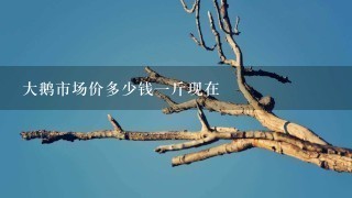大鹅市场价多少钱1斤现在 大鹅市场价多少钱1斤现在