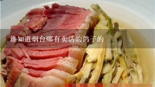 谁知道烟台哪有卖活的鸽子的 谁知道烟台哪有卖活的鸽子的