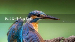 培根是什么肉做的 培根是什么肉做的