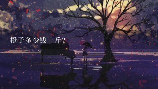 橙子多少钱1斤? 橙子多少钱1斤?