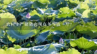 农村土产猪猪肉现在多少钱1斤? 农村土产猪猪肉现在多少钱1斤?