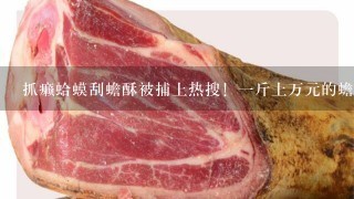 抓癞蛤蟆刮蟾酥被捕上热搜!1斤上万元的蟾酥到底有 抓癞蛤蟆刮蟾酥被捕上热搜!1斤上万元的蟾酥到底有