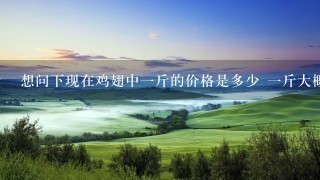 想问下现在鸡翅中1斤的价格是多少 1斤大概有多少? 想问下现在鸡翅中1斤的价格是多少 1斤大概有多少?