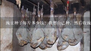 豌豆种子每斤多少钱?我想自己种,然后收豌豆苗和豌 豌豆种子每斤多少钱?我想自己种,然后收豌豆苗和豌