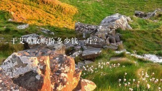 干艾草收购价多少钱1斤? 干艾草收购价多少钱1斤?