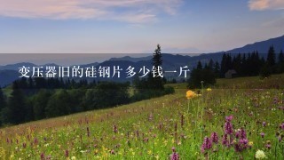 变压器旧的硅钢片多少钱1斤 变压器旧的硅钢片多少钱1斤