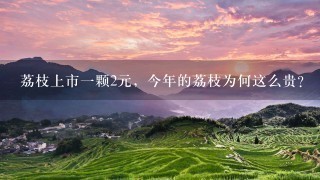 荔枝上市1颗2元,今年的荔枝为何这么贵? 荔枝上市1颗2元,今年的荔枝为何这么贵?