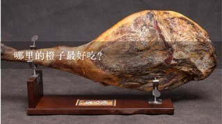 哪里的橙子最好吃? 哪里的橙子最好吃?