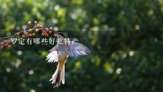 罗定有哪些好吃特产 罗定有哪些好吃特产
