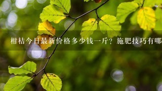 柑桔今日最新价格多少钱1斤?施肥技巧有哪些? 柑桔今日最新价格多少钱1斤?施肥技巧有哪些?