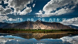 人参、红参、沙参、党参、西洋参、高丽参各有什么不 人参、红参、沙参、党参、西洋参、高丽参各有什么不