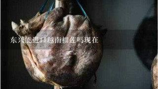 东兴能进口越南榴莲吗现在 东兴能进口越南榴莲吗现在