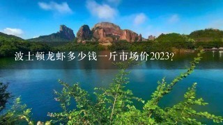 波士顿龙虾多少钱1斤市场价2023? 波士顿龙虾多少钱1斤市场价2023?
