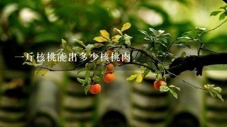 1斤核桃能出多少核桃肉 1斤核桃能出多少核桃肉