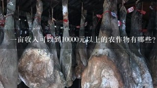 1亩收入可以到10000元以上的农作物有哪些? 1亩收入可以到10000元以上的农作物有哪些?