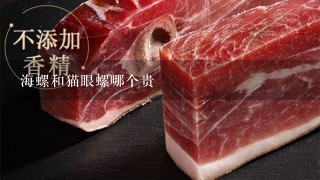 海螺和猫眼螺哪个贵 海螺和猫眼螺哪个贵