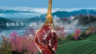 蚯蚓多少1公斤 蚯蚓多少1公斤
