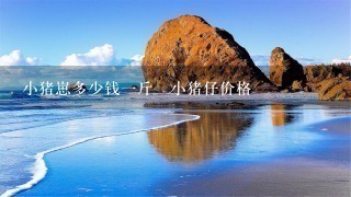 小猪崽多少钱1斤小猪仔价格 小猪崽多少钱1斤小猪仔价格