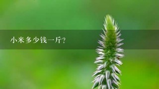 小米多少钱1斤? 小米多少钱1斤?
