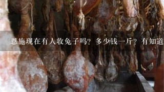 恩施现在有人收兔子吗?多少钱1斤?有知道的请告诉 恩施现在有人收兔子吗?多少钱1斤?有知道的请告诉