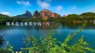 爆米花玉米多少钱1斤 爆米花玉米多少钱1斤
