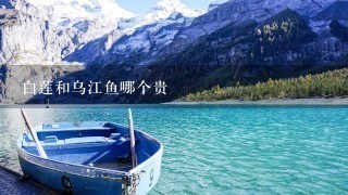 白莲和乌江鱼哪个贵 白莲和乌江鱼哪个贵
