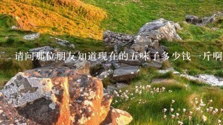 请问那位朋友知道现在的5味子多少钱1斤啊? 请问那位朋友知道现在的5味子多少钱1斤啊?