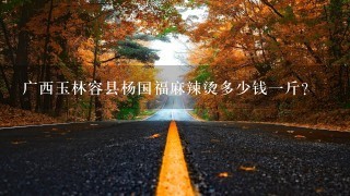 广西玉林容县杨国福麻辣烫多少钱1斤? 广西玉林容县杨国福麻辣烫多少钱1斤?
