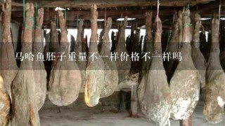 马哈鱼胚子重量不1样价格不1样吗 马哈鱼胚子重量不1样价格不1样吗