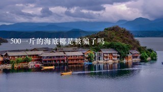 5001斤的海底椰是被骗了吗 5001斤的海底椰是被骗了吗